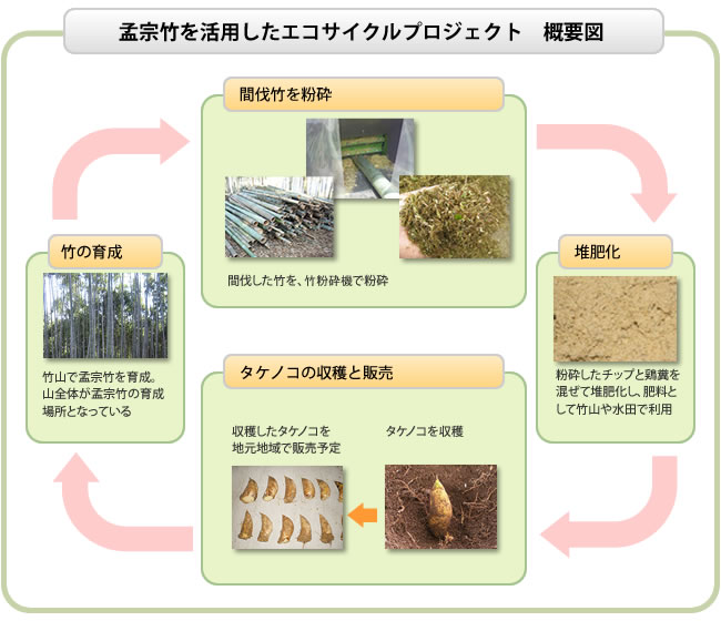 事業の概要図